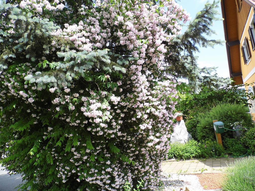 Homestay Gastehaus Ulbl *